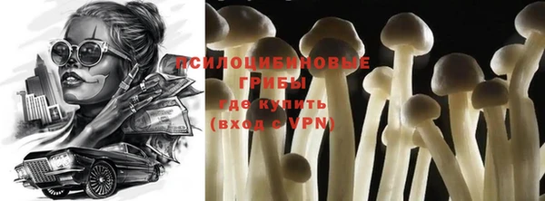 прущий лед Покров