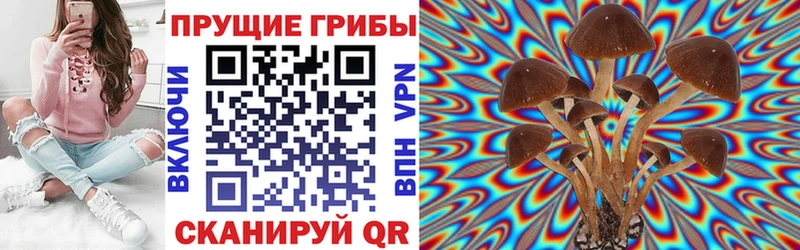 Псилоцибиновые грибы GOLDEN TEACHER  Купить  Тамбов 